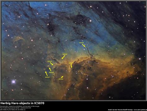 Herbig Haro objects in the Pelican - Experienced Deep Sky Imaging ...