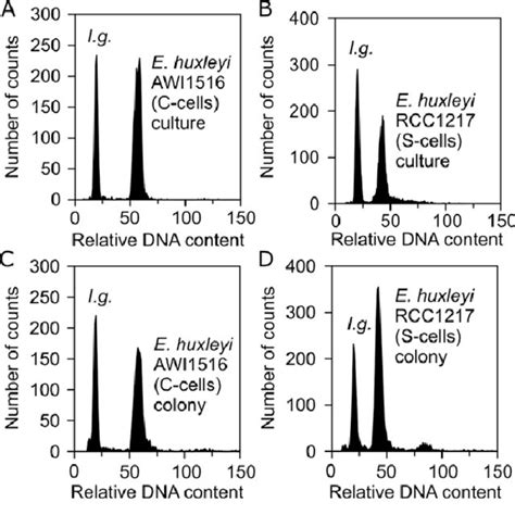 A Comparison Of The Growth Of Emiliania Huxleyi On Plates With A C