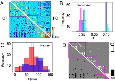 Cortical Thickness And Functional Networks Modules By Cortical Lobes