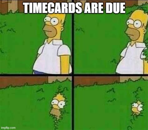 HOmer Timeards Imgflip