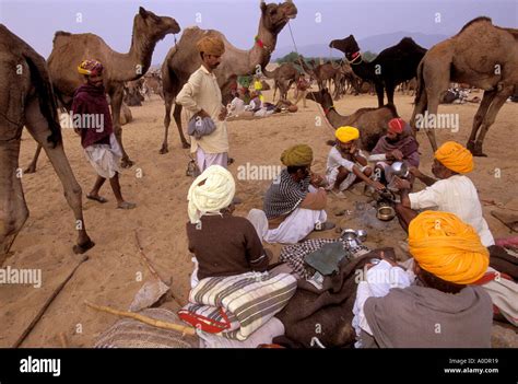 Marwari people nomadic tribe rajasthan hi-res stock photography and ...