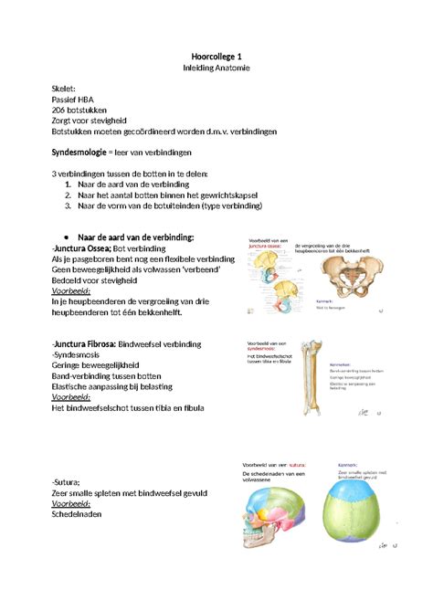 Hoorcollege Inleiding Anatomie Hoorcollege Inleiding Anatomie