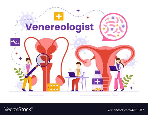 Venereologist Of Diagnostic For Dermatology Vector Image