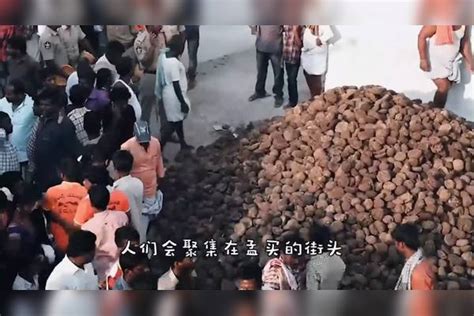 印度泼屎节万人泼牛粪场面火爆爱他就给他多泼点牛粪