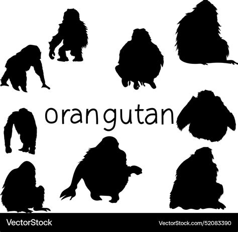 Orangutan Silhouette Royalty Free Vector Image