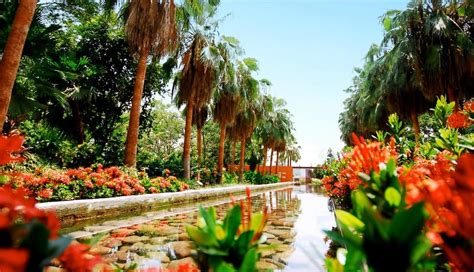 Estos Son Los Jardines Botánicos Más Bellos De México Fotos