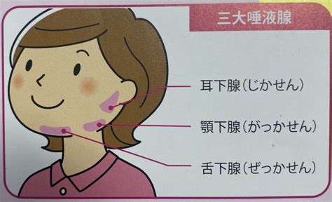 三大唾液腺マッサージで口腔ケア 櫻根座