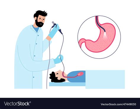 Gastroscopy Endoscopy Procedure Royalty Free Vector Image