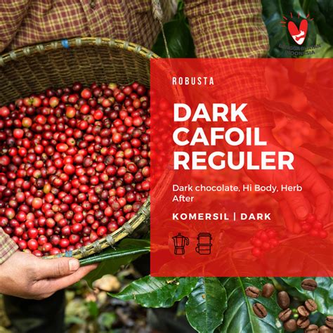 Dark Cafoil Robusta 100 Gram Roast Beans Coffee Tadi Pagi Coffee