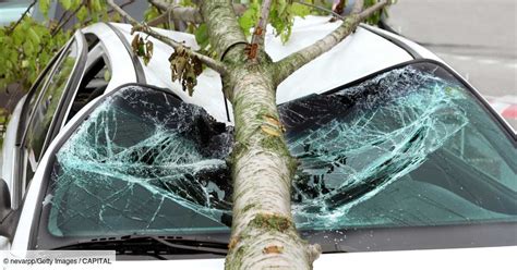 Tempête Ciaran toiture arrachée arbres tombés voici toutes les