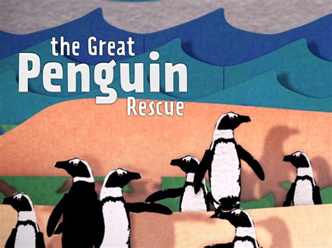 Prime Video: The Great Penguin Rescue