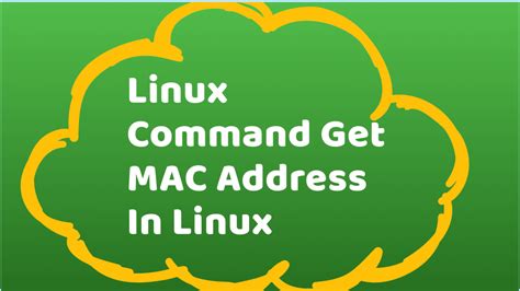 3 Ways To Find Mac Address In Linux Howtouselinux