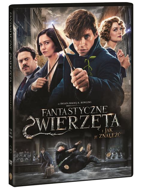 Recenzja Filmu Fantastyczne Zwierz Ta I Jak Je Znale Dvd Nerdheim Pl