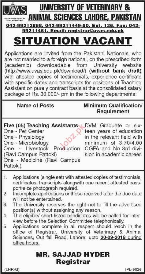 Uvas Lahore Jobs For Teaching Assistants Job Advertisement