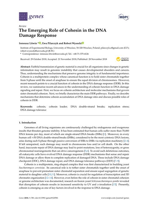 Pdf The Emerging Role Of Cohesin In The Dna Damage Response