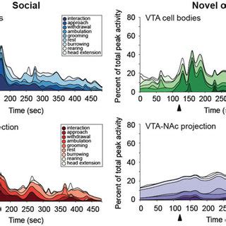 Vta Nac Projection Activity Encodes Social Interaction Area Plots