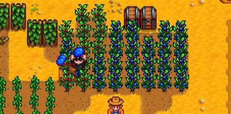 Stardew Valley Farming Guide