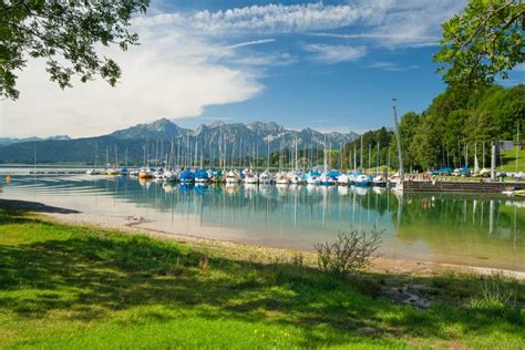 Lake Forggensee Stock Photo Image Of Nature Meadow 28537282