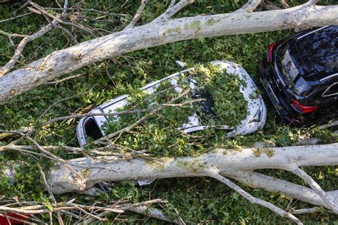 2 killed, airport closed as fires and storms batter Italy | FMT