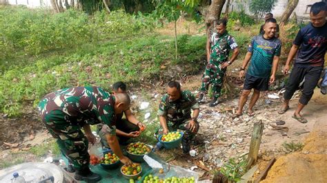 Manfaatkan Lahan Kosong Tim Peralatan Singkawang Panen Tomat Berita