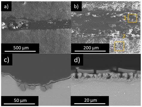 Coatings Free Full Text Functionalization Of Plasma Electrolytic