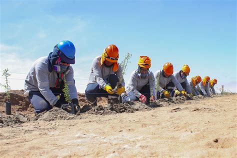 Arequipa programa Trabajo Digno benefició a 200 pobladores del valle