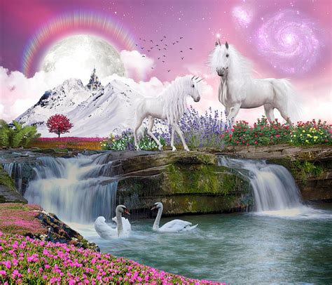 Unicorn Paradise Digital Art By Amber Barth