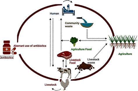 Frontiers Antibiotic Resistance One Health One World Outlook