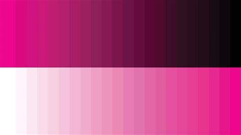 Color palette pink 16853046 Vector Art at Vecteezy