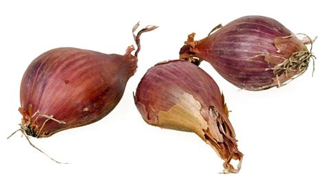 60 Free Shallot Onion Images Pixabay