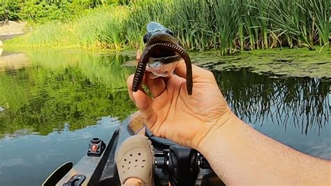 Finesse Worm Kayak Bass Fishing 1 Hr Of Uncut Fish N Old Town