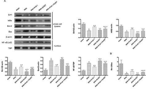 Figure From Propofol Alleviates Hepatic Ischemia Reperfusion Injury