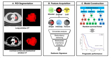 The Workflow Of Radiomics Analysis A The Tumor Region Of Interests