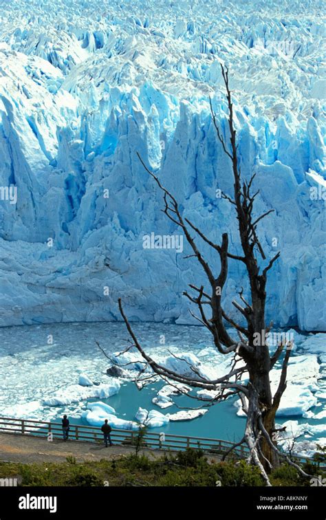 Perito Moreno Glacier Los Glaciares Nationalpark Argentina Stock