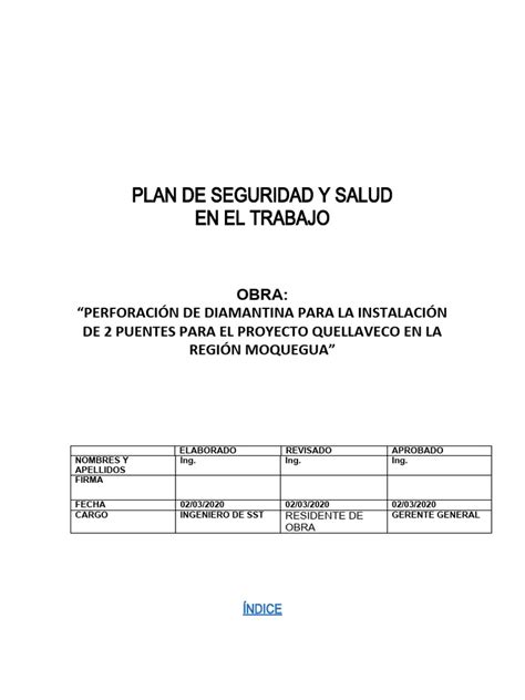 Plan Anual De Seguridad Y Salud 2020 Pdf Seguridad Y Salud Ocupacional Valores