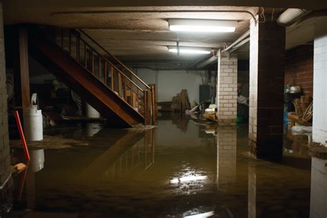 Restoring Your Basement After A Flood Brestored