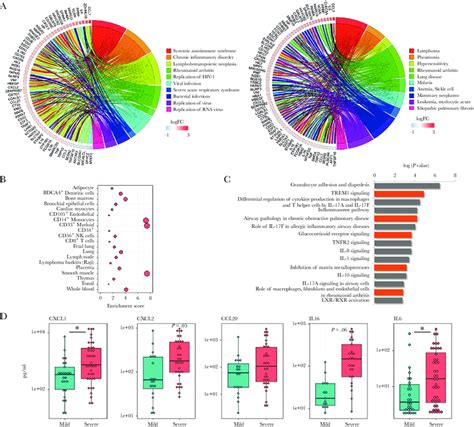 Airway Gene Expression Patterns Associated With Clinical Severity In