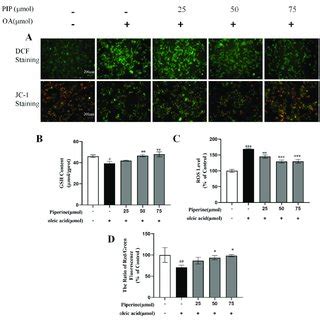 Effects Of PIP On OA Induced Intracellular Redox Imbalance And