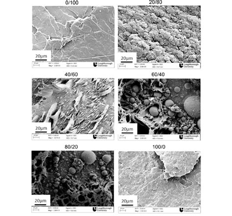 Scanning Electron Micrographs Of Fracture Surfaces Of Pbs Pla Blends