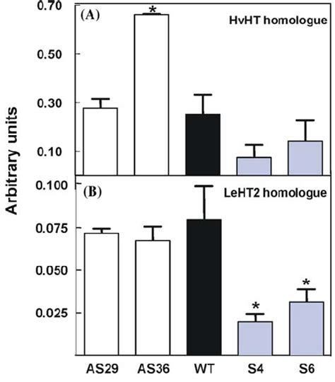 Steady State Levels Of MRNA Hexose Transporters As Determined By Real