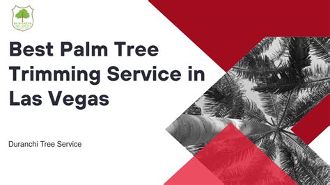 PPT Best Palm Tree Trimming Service In Las Vegas PowerPoint