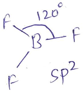 In BF3, bond angle is : - Sarthaks eConnect | Largest Online Education Community