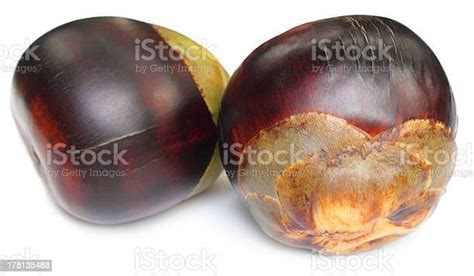 Tal Fruit Of Indian Subcontinent Stock Photo - Download Image Now ...