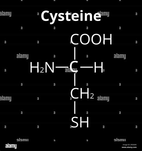 Cysteine Amino Acid 