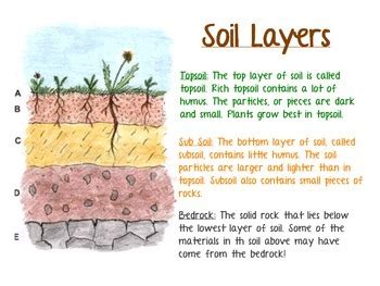 Soil Profile Descriptions by It's all about content | TpT