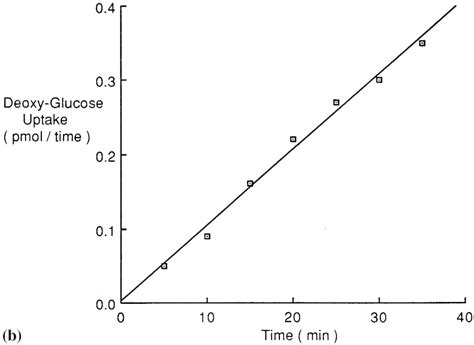 Linear Uptake Of Deoxy D H Glucose By Mcf Breast Cancer Cells