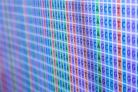 Primate genome sequencing reveals insight into human evolution and ...