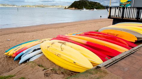 Visit Paihia: 2024 Travel Guide for Paihia, Northland | Expedia