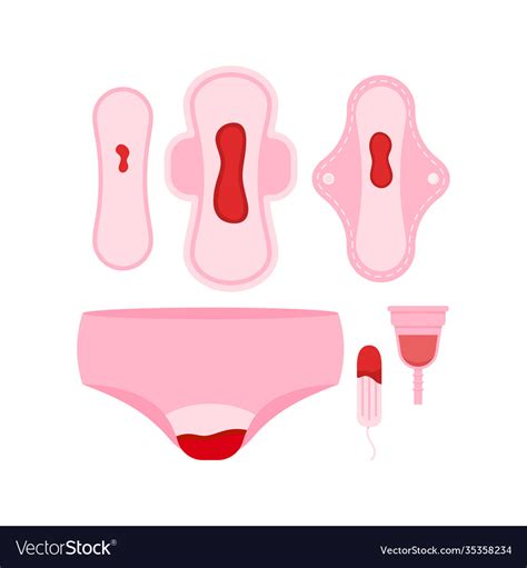 Sanitary Napkin Women Menstrual Pad Tampon Vector Image