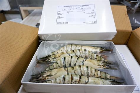 It Is High Time For Black Tiger Shrimp In Vietnam